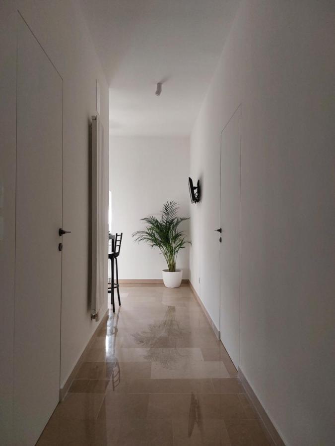 مونوبولي Palazzo Accinni B&B المظهر الخارجي الصورة